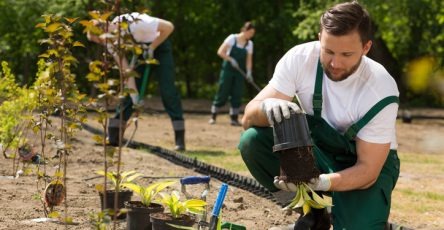 Multiple Recruitment for Gardeners in Canada